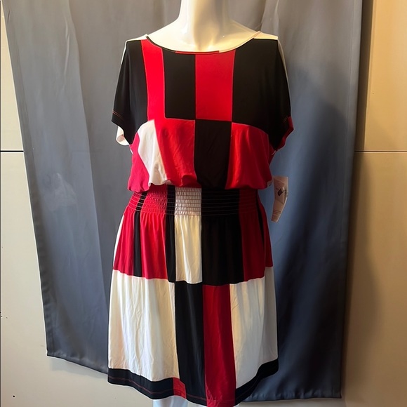 Kate Hill Elegant Color Block Dress - Picture 1 of 6